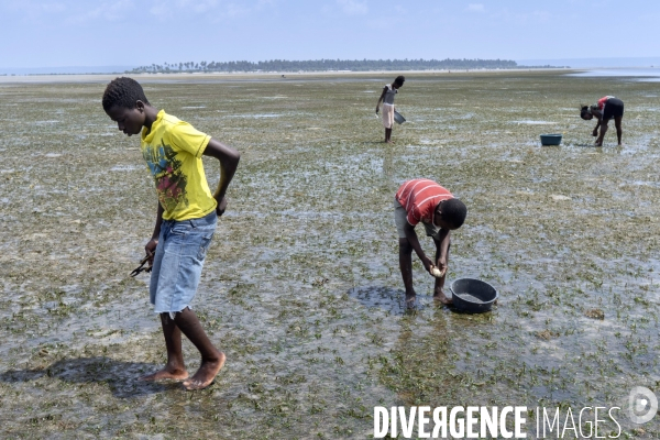 Pêche traditionnelle au mozambique