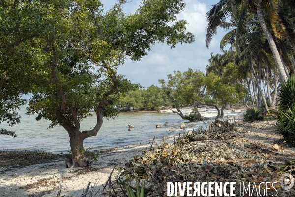 Pêche traditionnelle au mozambique