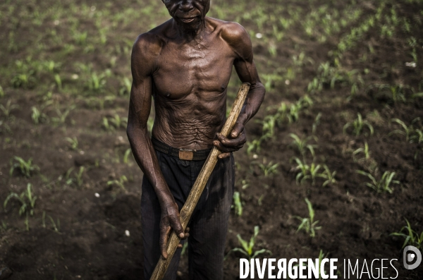 Departement du sud, haiti.