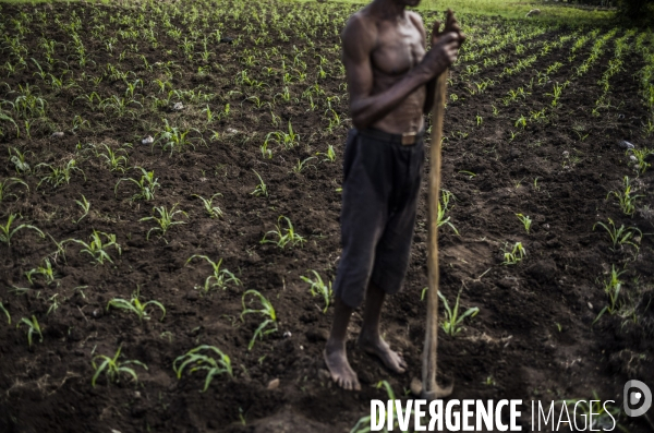 Departement du sud, haiti.