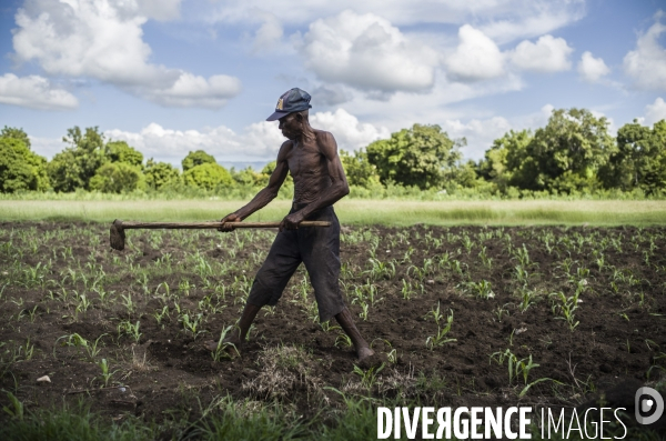 Departement du sud, haiti.