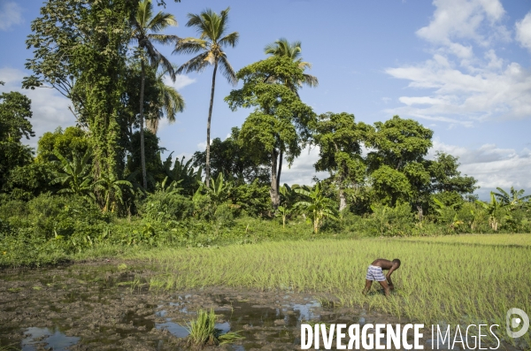 Departement du sud, haiti.