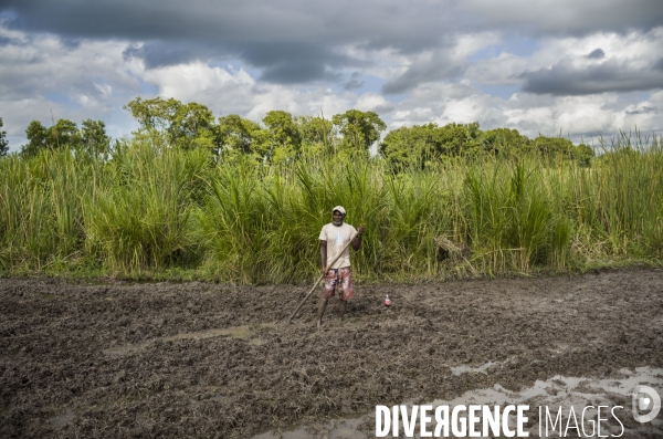 Departement du sud, haiti.