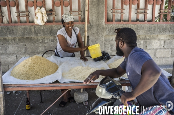 Departement du sud, haiti.