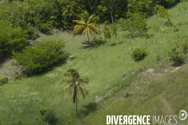 Departement du sud, haiti.