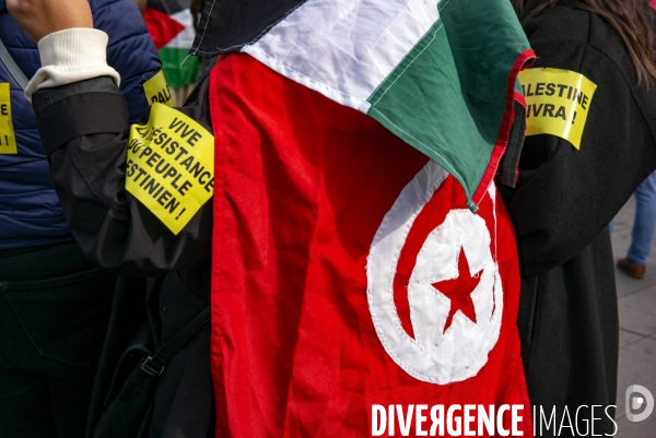 Rassemblement Place de la Republique pour la Palestine
