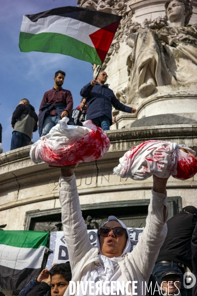 Rassemblement Place de la Republique pour la Palestine