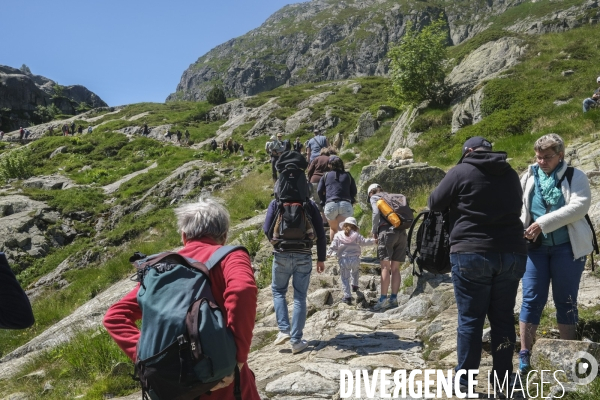 Le train d’Artouste dans les pyrénéens