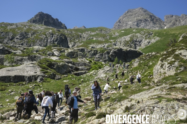 Le train d’Artouste dans les pyrénéens