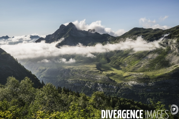 Le train d’Artouste dans les pyrénéens