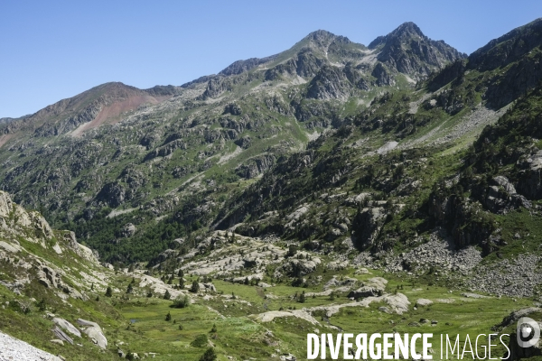 Le train d’Artouste dans les pyrénéens