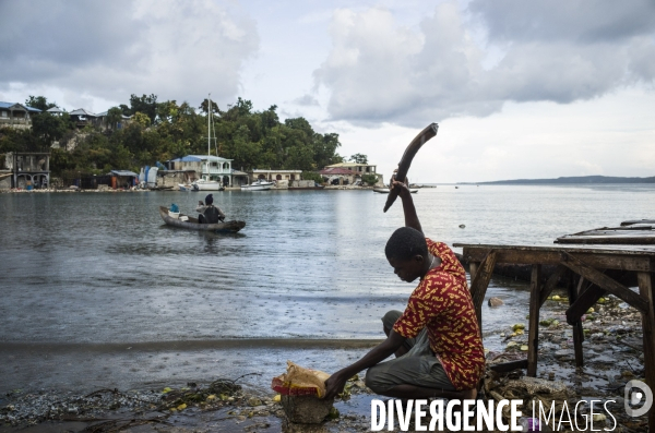 Pestel, dans la grand  anse, haiti 2023