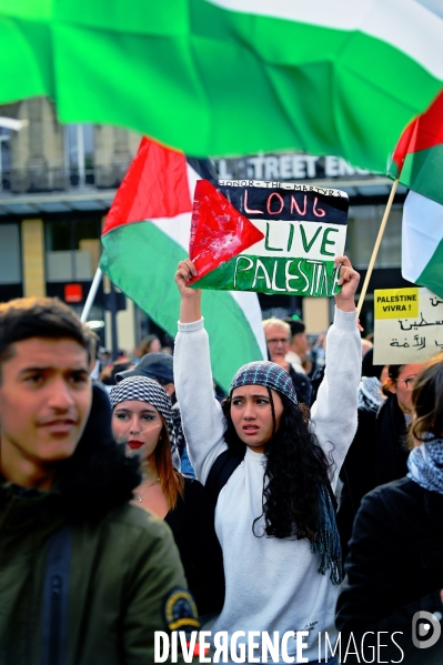 Rassemblement pour la Palestine