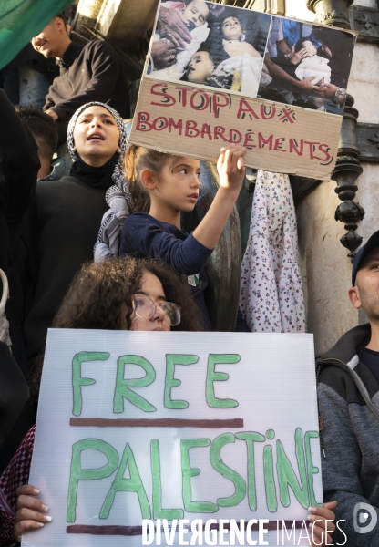 Conflit israélo-palestinien à Gaza. Hommage aux enfants lors du rassemblement à Paris en soutien au peuple palestinien.