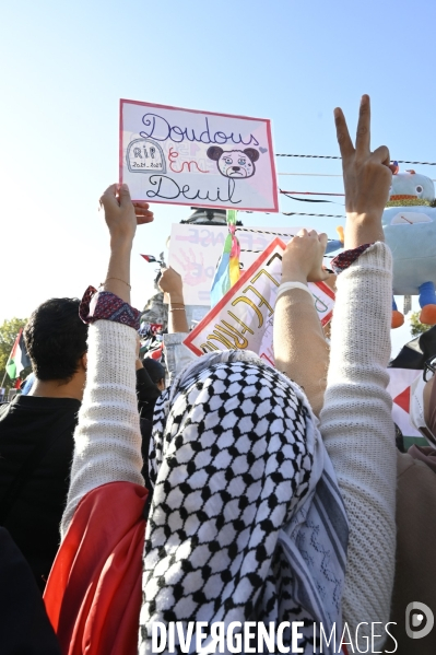 Conflit israélo-palestinien à Gaza. Hommage aux enfants lors du rassemblement à Paris en soutien au peuple palestinien.