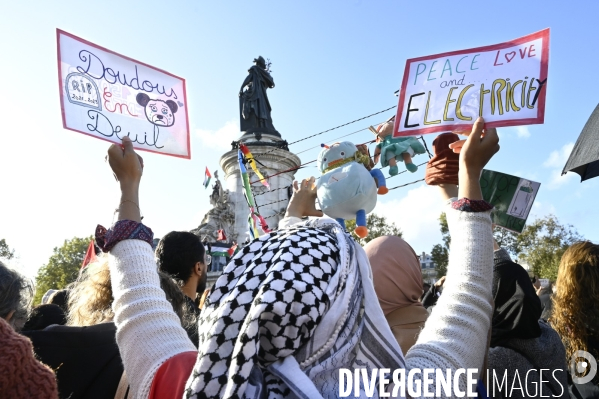 Conflit israélo-palestinien à Gaza. Hommage aux enfants lors du rassemblement à Paris en soutien au peuple palestinien.