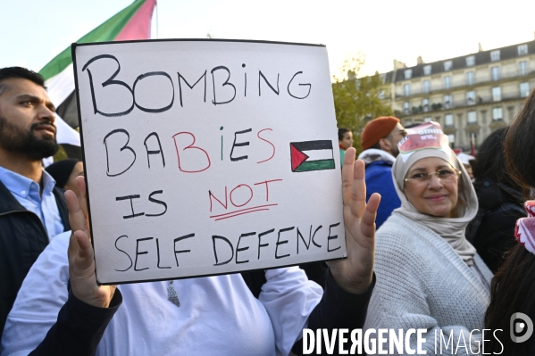 Conflit israélo-palestinien à Gaza. Hommage aux enfants lors du rassemblement à Paris en soutien au peuple palestinien.