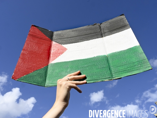 Rassemblement à Paris en soutien au peuple palestinien en raison du conflit israélo-palestinien à Gaza