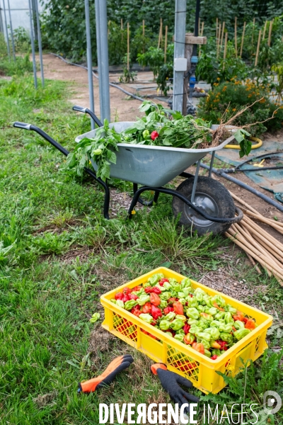 Ferme emmaüs de baudonne