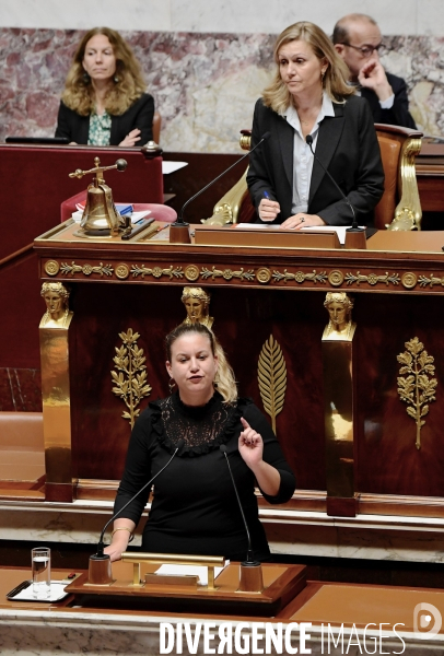 Assemblee nationale / Déclaration du Gouvernement sur la situation au Proche Orient