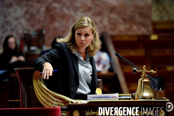 Assemblee nationale / Déclaration du Gouvernement sur la situation au Proche Orient