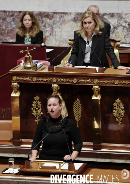 Assemblee nationale / Déclaration du Gouvernement sur la situation au Proche Orient
