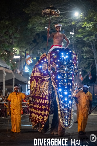 ESALA PERAHERA : Procession bouddhiste du Sri Lanka