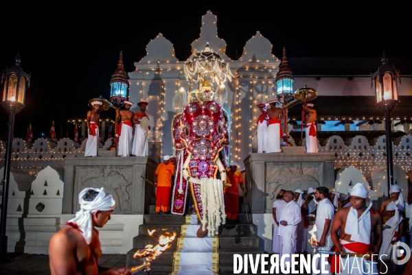 ESALA PERAHERA : Procession bouddhiste du Sri Lanka