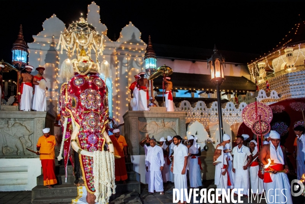 ESALA PERAHERA : Procession bouddhiste du Sri Lanka