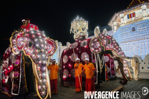ESALA PERAHERA : Procession bouddhiste du Sri Lanka