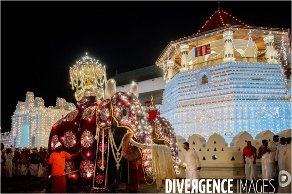 ESALA PERAHERA : Procession bouddhiste du Sri Lanka