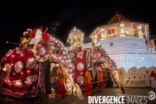 ESALA PERAHERA : Procession bouddhiste du Sri Lanka