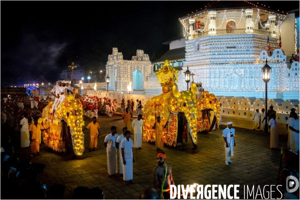 ESALA PERAHERA : Procession bouddhiste du Sri Lanka