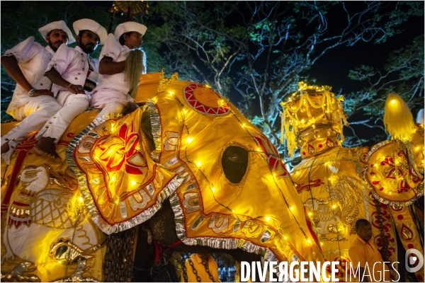 ESALA PERAHERA : Procession bouddhiste du Sri Lanka