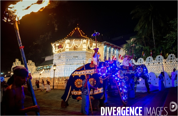 ESALA PERAHERA : Procession bouddhiste du Sri Lanka