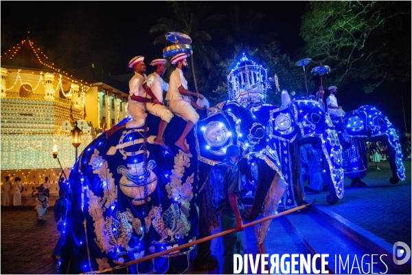 ESALA PERAHERA : Procession bouddhiste du Sri Lanka