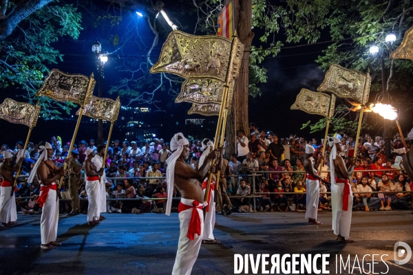 ESALA PERAHERA : Procession bouddhiste du Sri Lanka