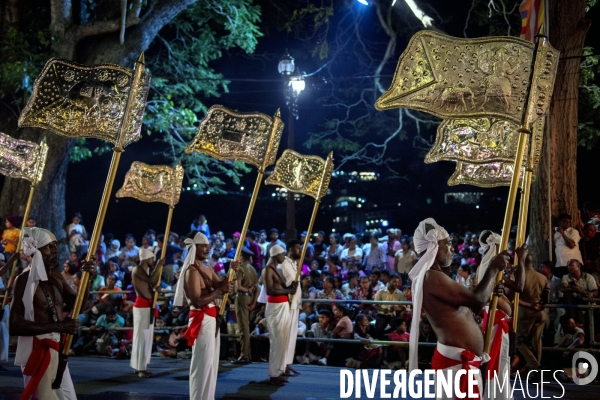 ESALA PERAHERA : Procession bouddhiste du Sri Lanka