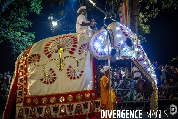 ESALA PERAHERA : Procession bouddhiste du Sri Lanka