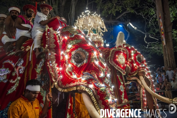 ESALA PERAHERA : Procession bouddhiste du Sri Lanka