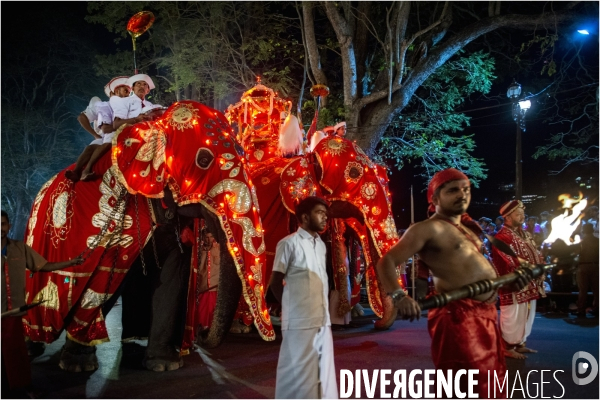 ESALA PERAHERA : Procession bouddhiste du Sri Lanka