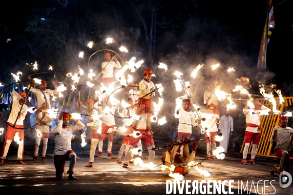 ESALA PERAHERA : Procession bouddhiste du Sri Lanka