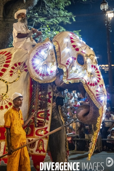 ESALA PERAHERA : Procession bouddhiste du Sri Lanka