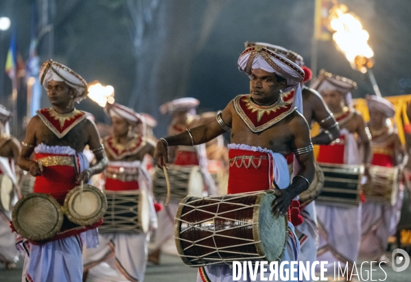 ESALA PERAHERA : Procession bouddhiste du Sri Lanka