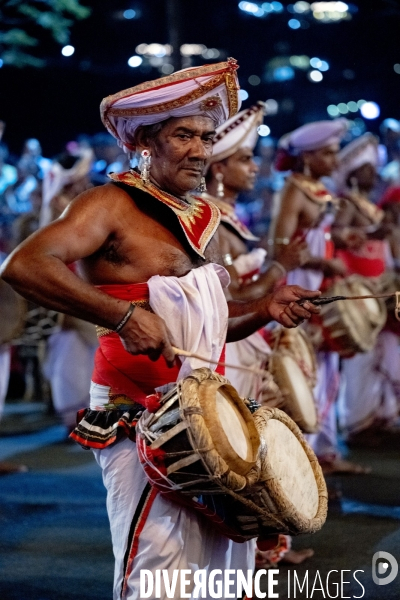 ESALA PERAHERA : Procession bouddhiste du Sri Lanka