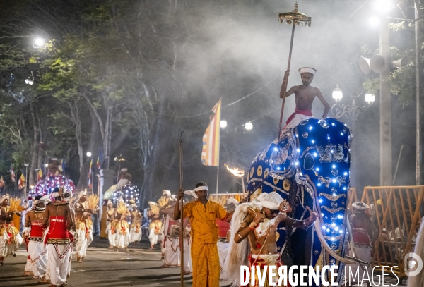 ESALA PERAHERA : Procession bouddhiste du Sri Lanka