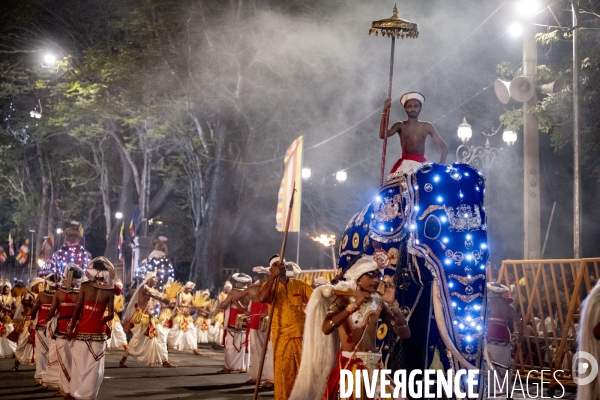 ESALA PERAHERA : Procession bouddhiste du Sri Lanka