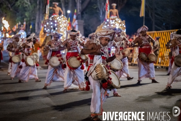 ESALA PERAHERA : Procession bouddhiste du Sri Lanka