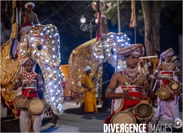 ESALA PERAHERA : Procession bouddhiste du Sri Lanka