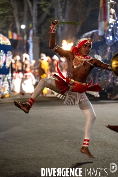 ESALA PERAHERA : Procession bouddhiste du Sri Lanka